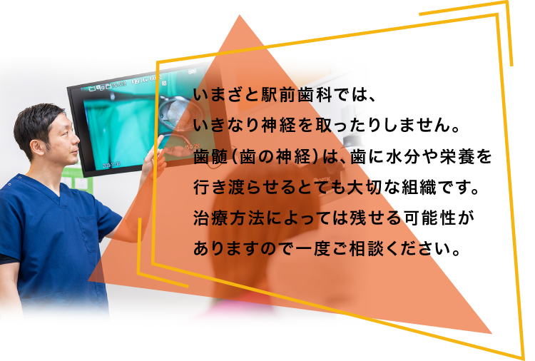 いまざと駅前歯科では、歯髄（歯の神経）は、いきなり神経を取ったりはしません。歯に水分や栄養を行き渡らせるとても大切な組織です。治療方法によっては残せる可能性がありますので一度ご相談ください。